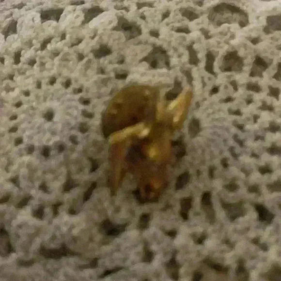 Vintage political pin lots - Picture 5 of 5